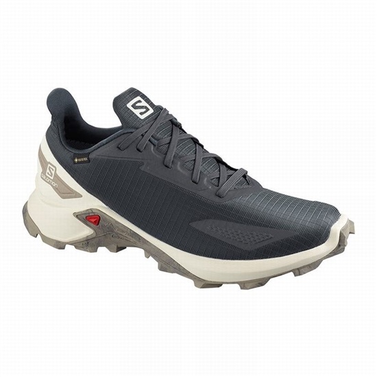 Salomon Alphacross Blast Gtx Men's Trail Running Shoes Dark Grey | OIWP57410