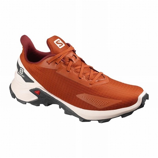 Salomon Alphacross Blast Men's Trail Running Shoes Orange | AVLS81349