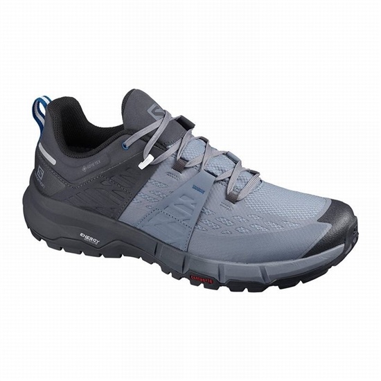 Salomon Odyssey Gtx Men's Hiking Shoes Grey / Royal | TSPY39128