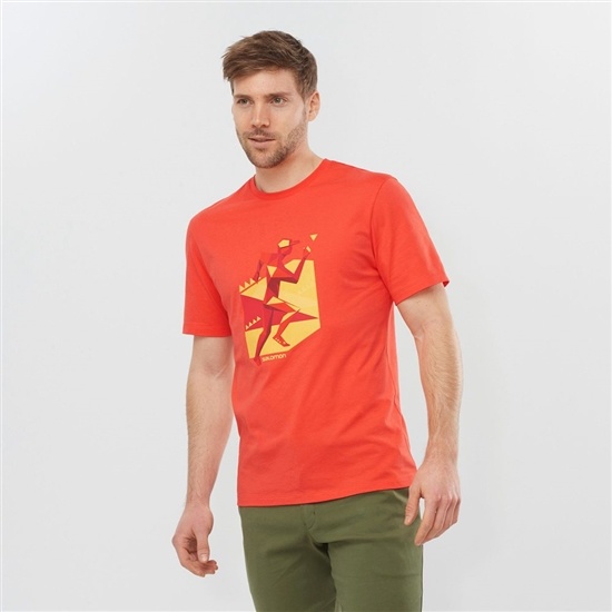 Salomon Outlife Graphic Geo Runner Ss M Short Sleeve Men's T Shirts Orange | SJEP41269