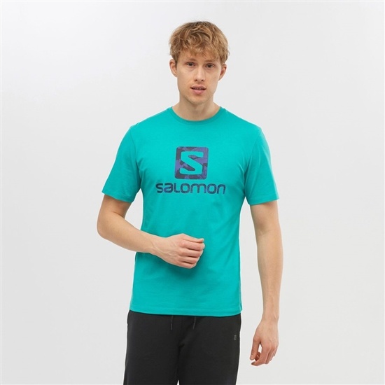 Salomon Outlife Logo Short Sleeve Men's T Shirts Mint | BEMN95631