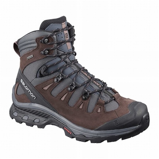 Salomon Quest 4d 3 Gtx W Women's Hiking Boots Dark Blue / Chocolate Purple | MITB87294