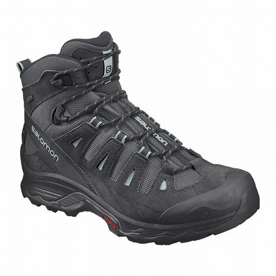 Salomon Quest Prime Gtx W Women's Hiking Boots Dark Blue / Black | DRZQ96048