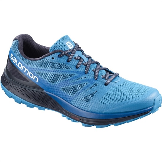 Salomon Sense Ese Men's Trail Running Shoes Blue / Navy | RHLM26391