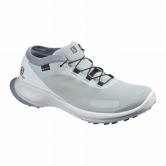 Salomon Sense Feel Gtx Men's Trail Running Shoes Grey | LAOT10367