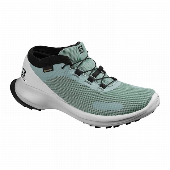 Salomon Sense Feel Gtx W Women's Trail Running Shoes Green / Blue | XVJZ93851
