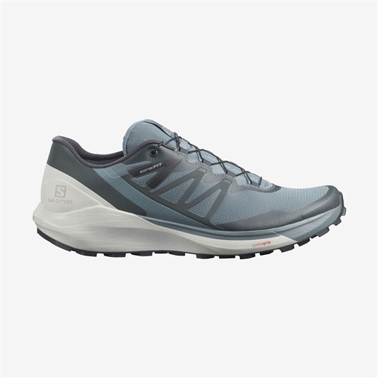 Salomon Sense Ride 4 Men's Trail Running Shoes Mint | CGUV49501