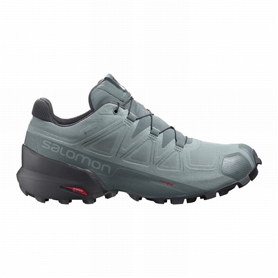 Salomon Speedcross 5 Gore-tex Men's Trail Running Shoes Green | WJOA92507