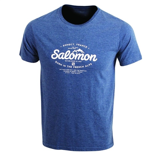 Salomon Spruce Ss M Men's T Shirts Dark Denim | ABPM29401