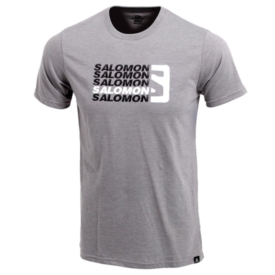 Salomon Standout Ss M Men's T Shirts Grey | DHTE84205