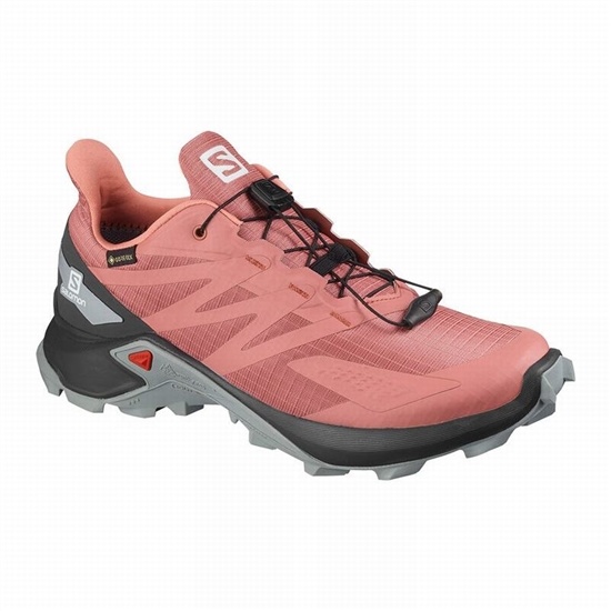 Salomon Supercross Blast Gtx W Women's Trail Running Shoes Dark Red | HZTB32715