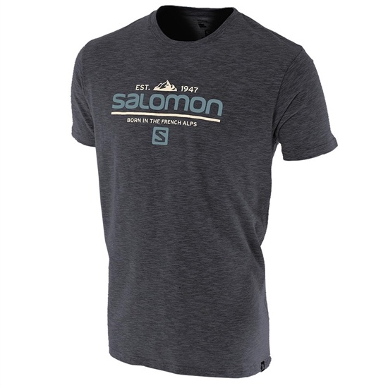 Salomon Visionary Ss M Men's T Shirts Grey | UBPL82519