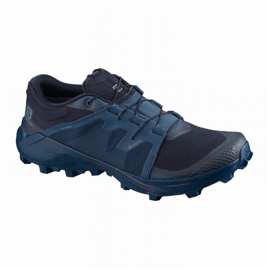 Salomon Wildcross Gtx Men's Trail Running Shoes Navy | SOHN63405
