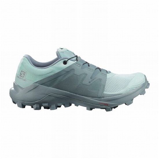 Salomon Wildcross Gtx Women's Trail Running Shoes Turquoise / Turquoise | KRJX16840
