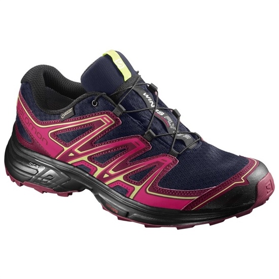 Salomon Wings Flyte 2 Gtx W Women's Trail Running Shoes Pink / Navy | KIFR67192