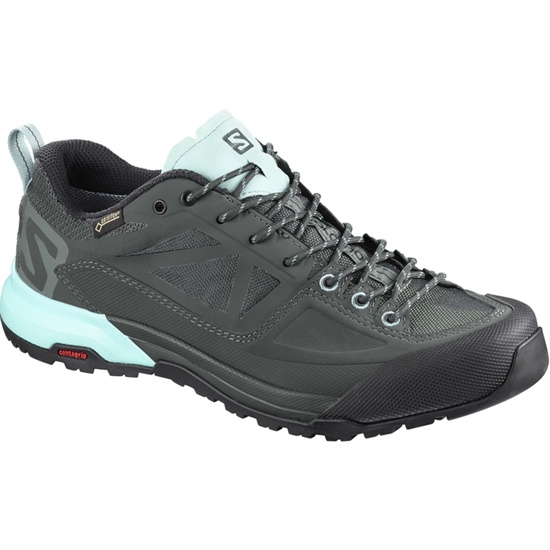 Salomon X Alp Spry Gtx W Women's Hiking Boots Light Turquoise / Dark Grey | WTHK80271
