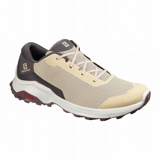 Salomon X Reveal Men's Hiking Shoes Brown | SAOM04398