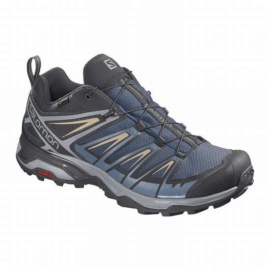 Salomon X Ultra 3 Gore-tex Men's Hiking Shoes Navy / Blue | GSTP43807