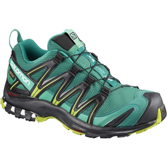 Salomon Xa Pro 3d Gtx W Women's Trail Running Shoes Green | KMPW60948
