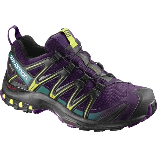 Salomon Xa Pro 3d Gtx W Women's Trail Running Shoes Purple / Black | OLFI25683