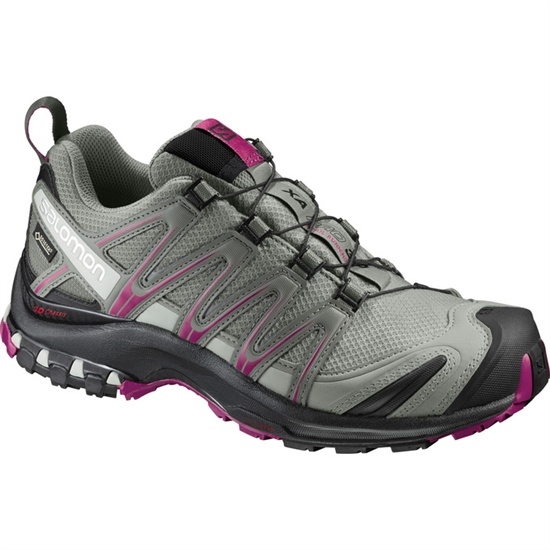 Salomon Xa Pro 3d Gtx W Women's Trail Running Shoes Silver | YHQR14357