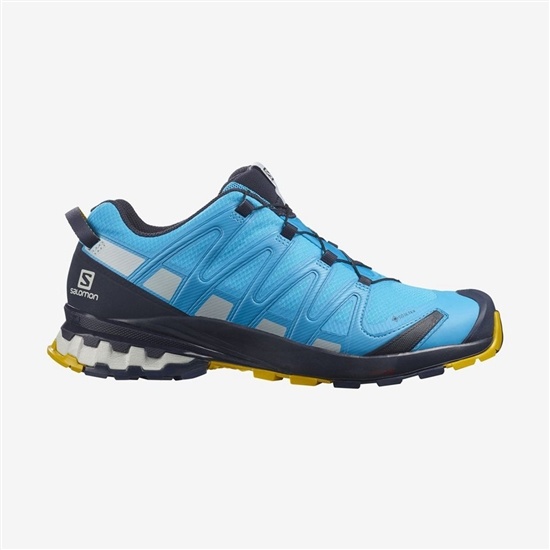 Salomon Xa Pro 3d V8 Gore-tex Men's Hiking Shoes Blue | DHBY27461