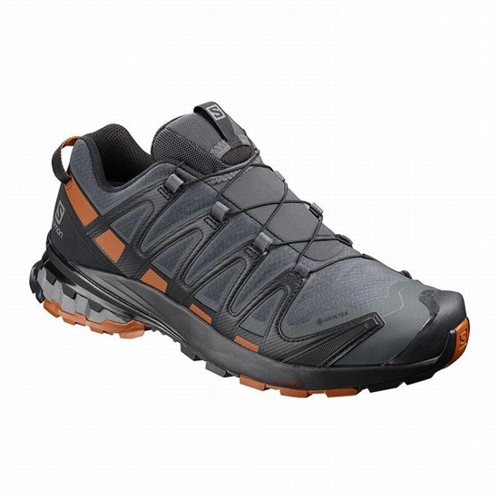 Salomon Xa Pro 3d V8 Gore-tex Men's Hiking Shoes Dark Blue / Black | FISG63284