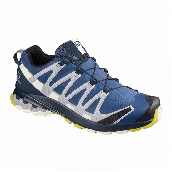 Salomon Xa Pro 3d V8 Gore-tex Men's Hiking Shoes Navy | GXUT02635