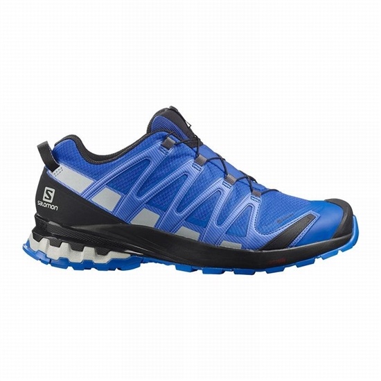 Salomon Xa Pro 3d V8 Gore-tex Men's Hiking Shoes Black / Blue | LMRO59870