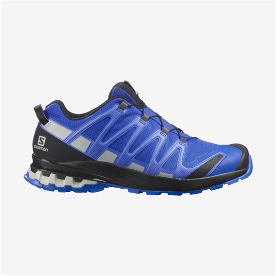 Salomon Xa Pro 3d V8 Gore-tex Men's Trail Running Shoes Blue | OXJM36975