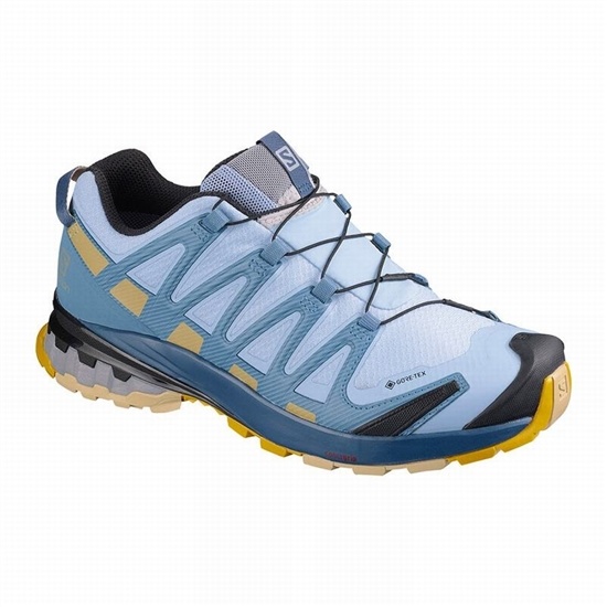 Salomon Xa Pro 3d V8 Gore-tex Women's Hiking Shoes Blue | MGAN35286