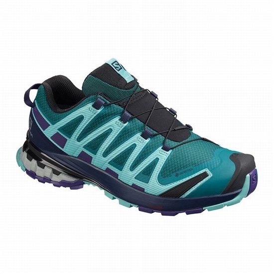 Salomon Xa Pro 3d V8 Gore-tex Women's Trail Running Shoes Blue | GQJK26718