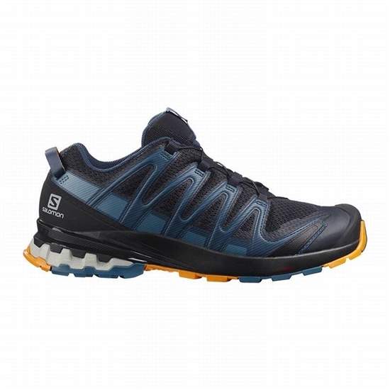 Salomon Xa Pro 3d V8 Men's Hiking Shoes Navy / Blue | KLXI35426