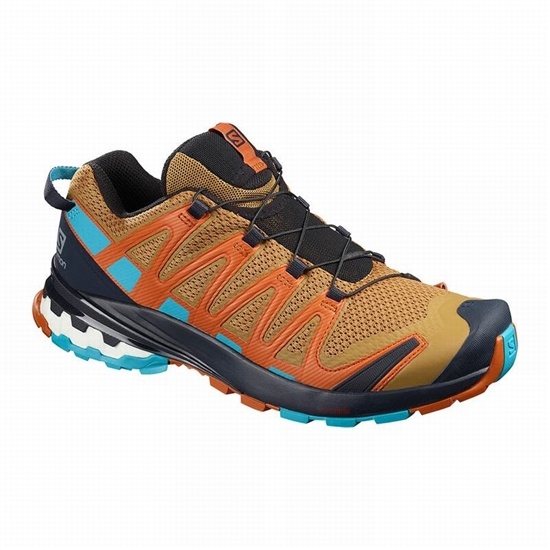 Salomon Xa Pro 3d V8 Men's Trail Running Shoes Navy / Blue | INUS57981