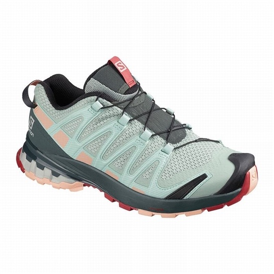 Salomon Xa Pro 3d V8 Women's Hiking Shoes Light Turquoise Grey | GTCI92581