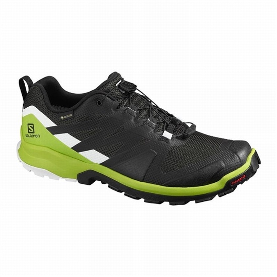 Salomon Xa Rogg Gtx Men's Hiking Shoes Black / Light Green | YZDM06715