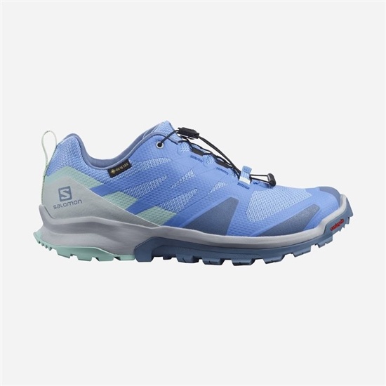 Salomon Xa Rogg Gtx W Women's Trail Running Shoes Blue | MODX72481