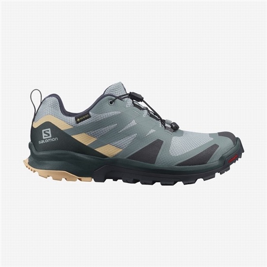 Salomon Xa Rogg Gtx W Women's Trail Running Shoes Green / Cream | WQKH26803