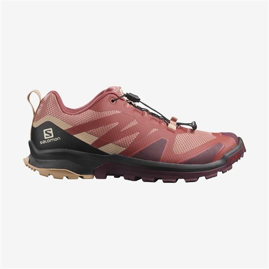 Salomon Xa Rogg Women's Trail Running Shoes Multicolor | WZQB13062